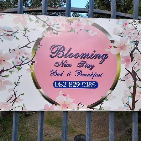 Blooming Nice Stay Harrismith Exterior foto
